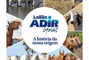 LEILÃO ADIR GOIÁS